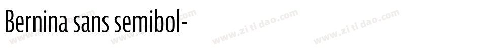Bernina sans semibol字体转换